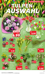 Kaufland Prospekt - Angebote ab 19.02.