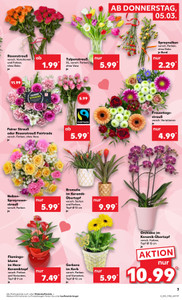 Kaufland Prospekt - Angebote ab 05.03.