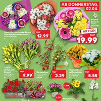 Kaufland Prospekt Seite 19