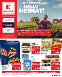 Kaufland Prospekt - Angebote ab 09.04.