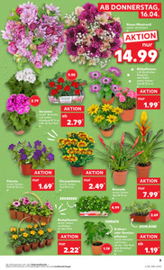 Kaufland Prospekt - Mo-Mi Angebote ab 13.04.