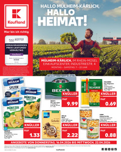 Kaufland Prospekt - Angebote ab 16.04.