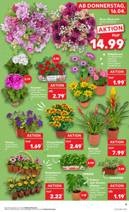 Kaufland Prospekt - Angebote ab 16.04.