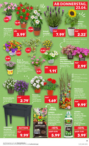 Kaufland Prospekt - Angebote ab 23.04.