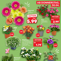 Kaufland Prospekt Seite 3