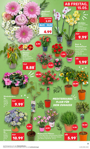 Kaufland Prospekt - Mo-Mi Angebote ab 11.05.