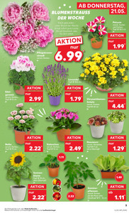 Kaufland Prospekt - Angebote ab 21.05.