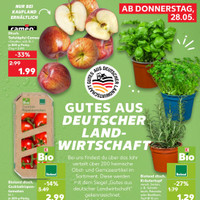 Kaufland Prospekt Seite 3