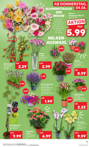 Kaufland Prospekt - Angebote ab 05.06.