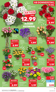 Kaufland Prospekt - Mo-Mi Angebote ab 10.06.