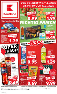 Kaufland Prospekt - Angebote ab 11.06. - Seite 1