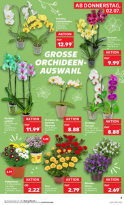 Kaufland Prospekt - Mo-Mi Angebote ab 29.06.
