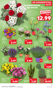 Kaufland Prospekt - Angebote ab 16.07.