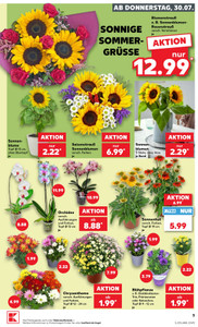 Kaufland Prospekt - Mo-Mi Angebote ab 27.07.