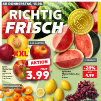 Kaufland Prospekt Seite 31