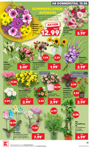 Kaufland Prospekt - Mo-Mi Angebote ab 10.08.