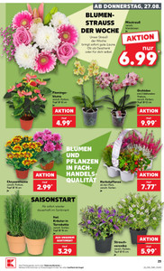 Kaufland Prospekt - Mo-Mi Angebote ab 24.08.