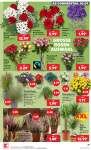 Kaufland Prospekt - Mo-Mi Angebote ab 31.08.