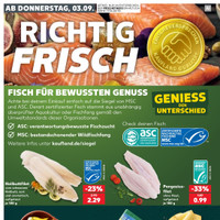 Kaufland Prospekt - Käse