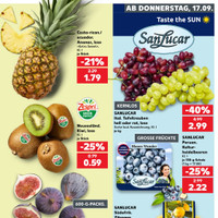 Kaufland Prospekt Seite 17