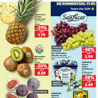 Kaufland Prospekt Seite 17