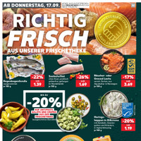 Kaufland Prospekt Seite 40