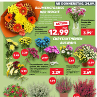 Kaufland Prospekt Seite 34