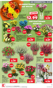 Kaufland Prospekt - Angebote ab 24.09.