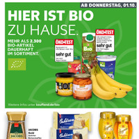 Kaufland Prospekt Seite 55