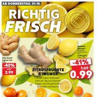 Kaufland Prospekt Seite 42