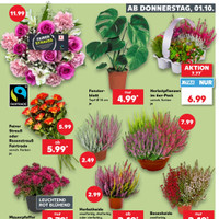 Kaufland Prospekt Seite 35