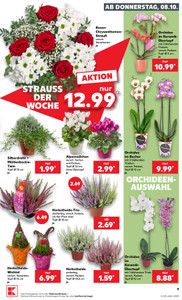 Kaufland Prospekt - Angebote ab 08.10.