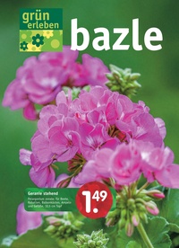 Bazle Prospekt - 2025/15 | Bazle GmbH Grün erleben