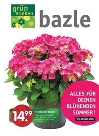 Bazle Prospekt - 2025/19 | Bazle Alles für den blühenden Sommer