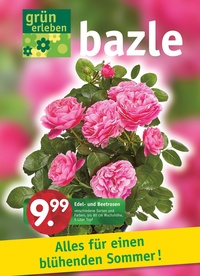 Bazle Prospekt - 2025/22 | Bazle Alles für den blühenden Sommer