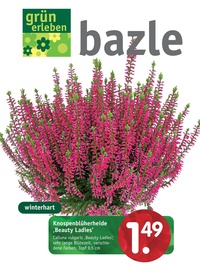 Bazle Prospekt - 2025/40 | Bazle