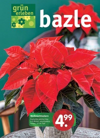 Bazle Prospekt - Weihnachtsstern