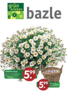Bazle Prospekt - Beilage 3