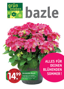 Bazle Prospekt - Alles für Deinen blühenden Sommer!
