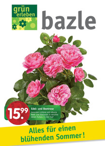 Bazle Prospekt - Alles für einen blühenden Sommer!
