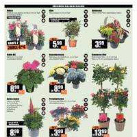 V-Baumarkt Prospekt Seite 2