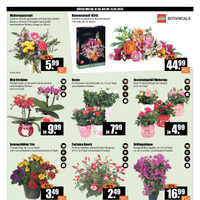 V-Baumarkt Prospekt Seite 2