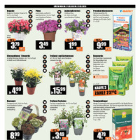 V-Baumarkt Prospekt Seite 2