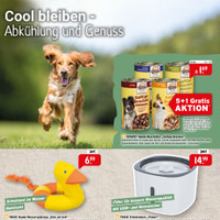 Raiffeisen-Markt Prospekt Seite 2