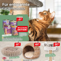 Raiffeisen-Markt Prospekt Seite 3