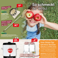 Raiffeisen-Markt Prospekt Seite 2