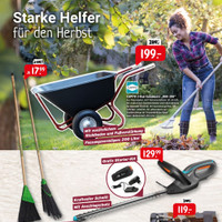 Raiffeisen-Markt Prospekt Seite 3
