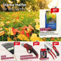 Raiffeisen-Markt Prospekt Seite 8