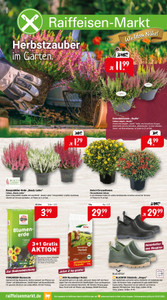 Raiffeisen-Markt Prospekt - Herbstzauber im Garten