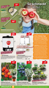 Raiffeisen-Markt Prospekt - Herbstzauber im Garten